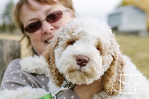 labradoodle-new-client-1