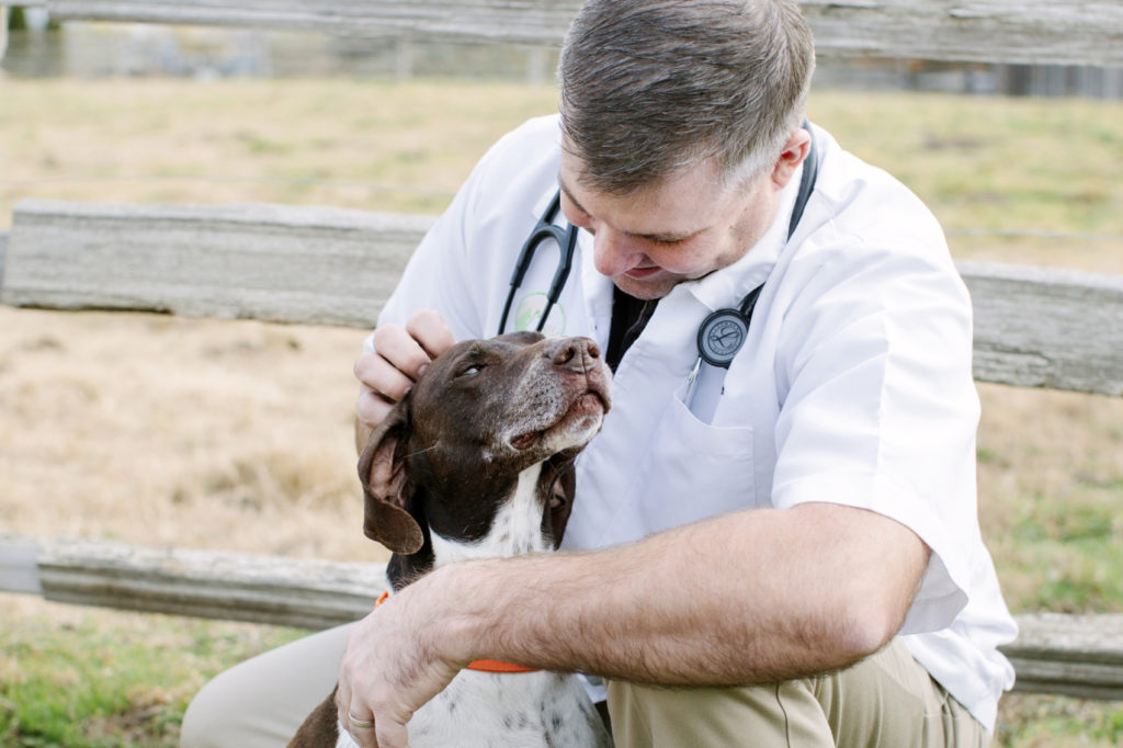 east end animal hospital